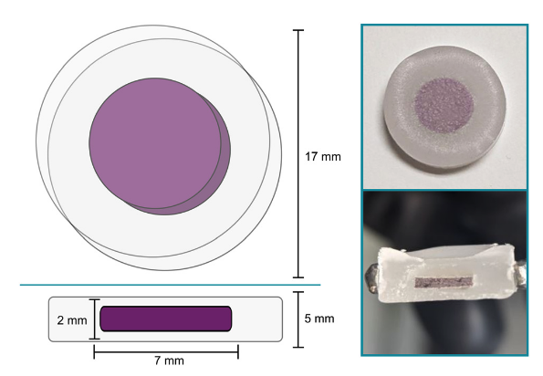 Wax pellet XAS sample